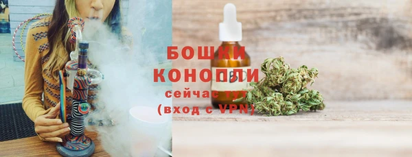 соль ск Каменка