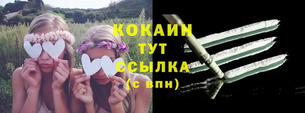 соль ск Каменка