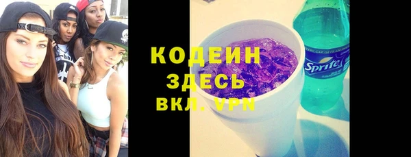 ГАЛЛЮЦИНОГЕННЫЕ ГРИБЫ Инта
