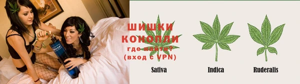 твердый Иннополис