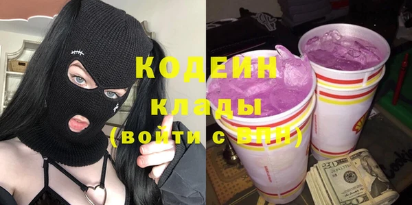 соль ск Каменка
