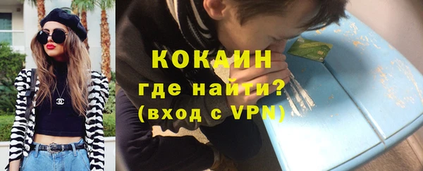 соль ск Каменка