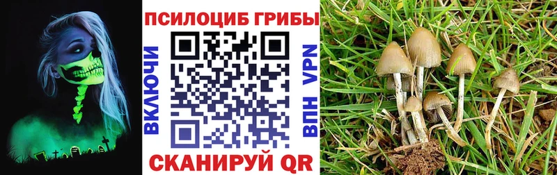 Псилоцибиновые грибы ЛСД  Купить  Джанкой 
